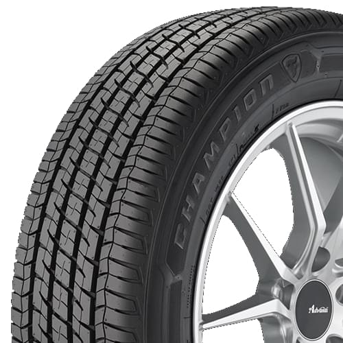 Firestone Champion Fuel Fighter - Part Number 015607 Firestone Champion Fuel Fighter Photo